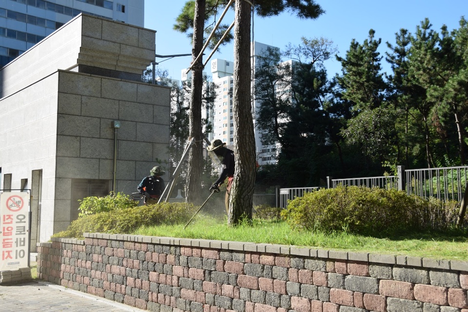 예초 작업 중