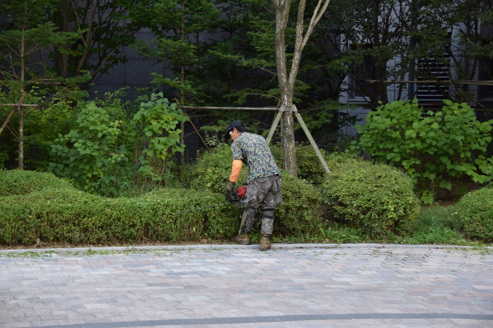 관목 전정 작업 중