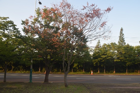 작업 전