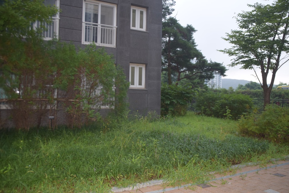 작업 전