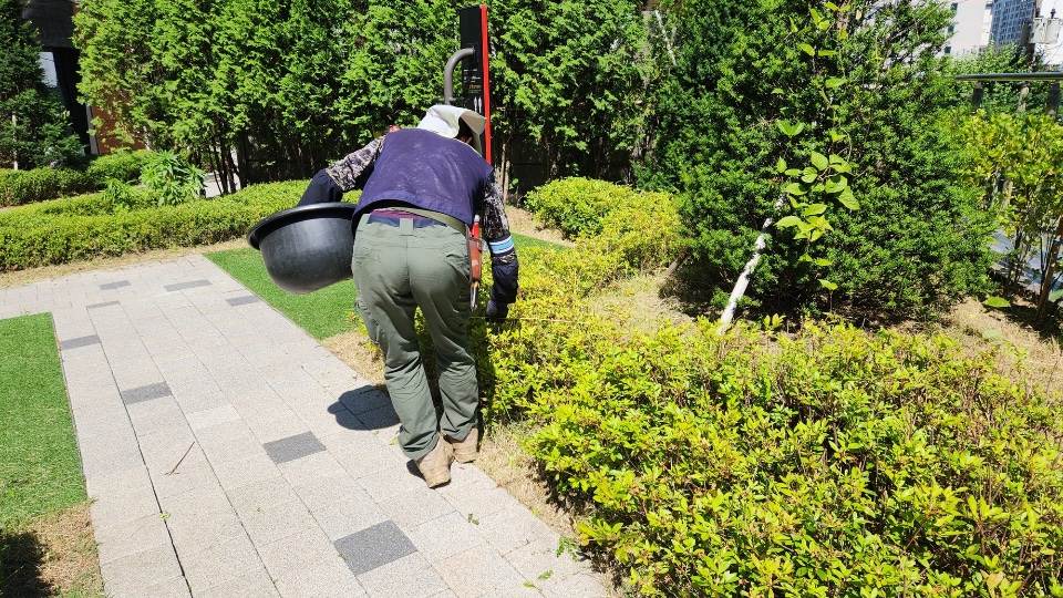 제초 작업 중