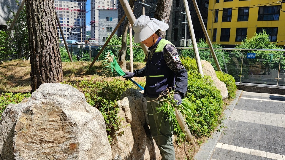 제초 작업 중