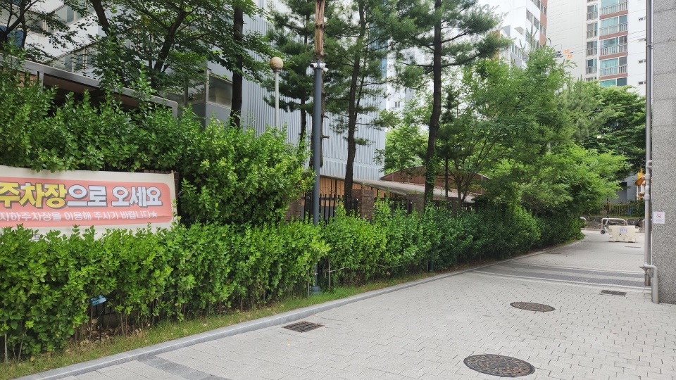 전정 작업 후